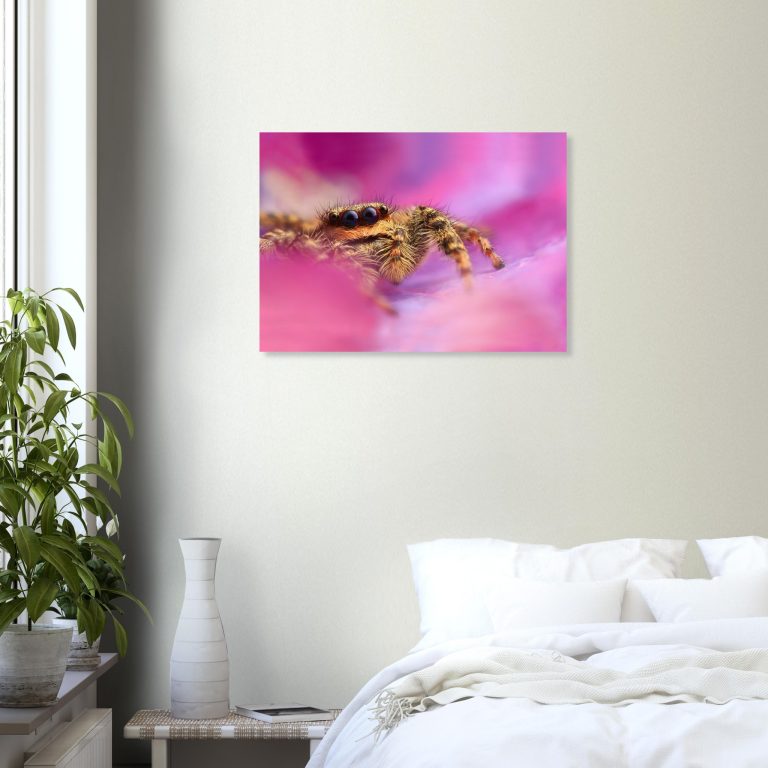 1c0fcfb1-3e6b-4eee-a746-dbc684128d19