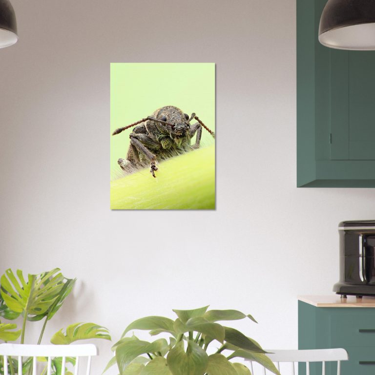 6b71f2ed-d8fe-4322-a5d2-53d13a82d96c