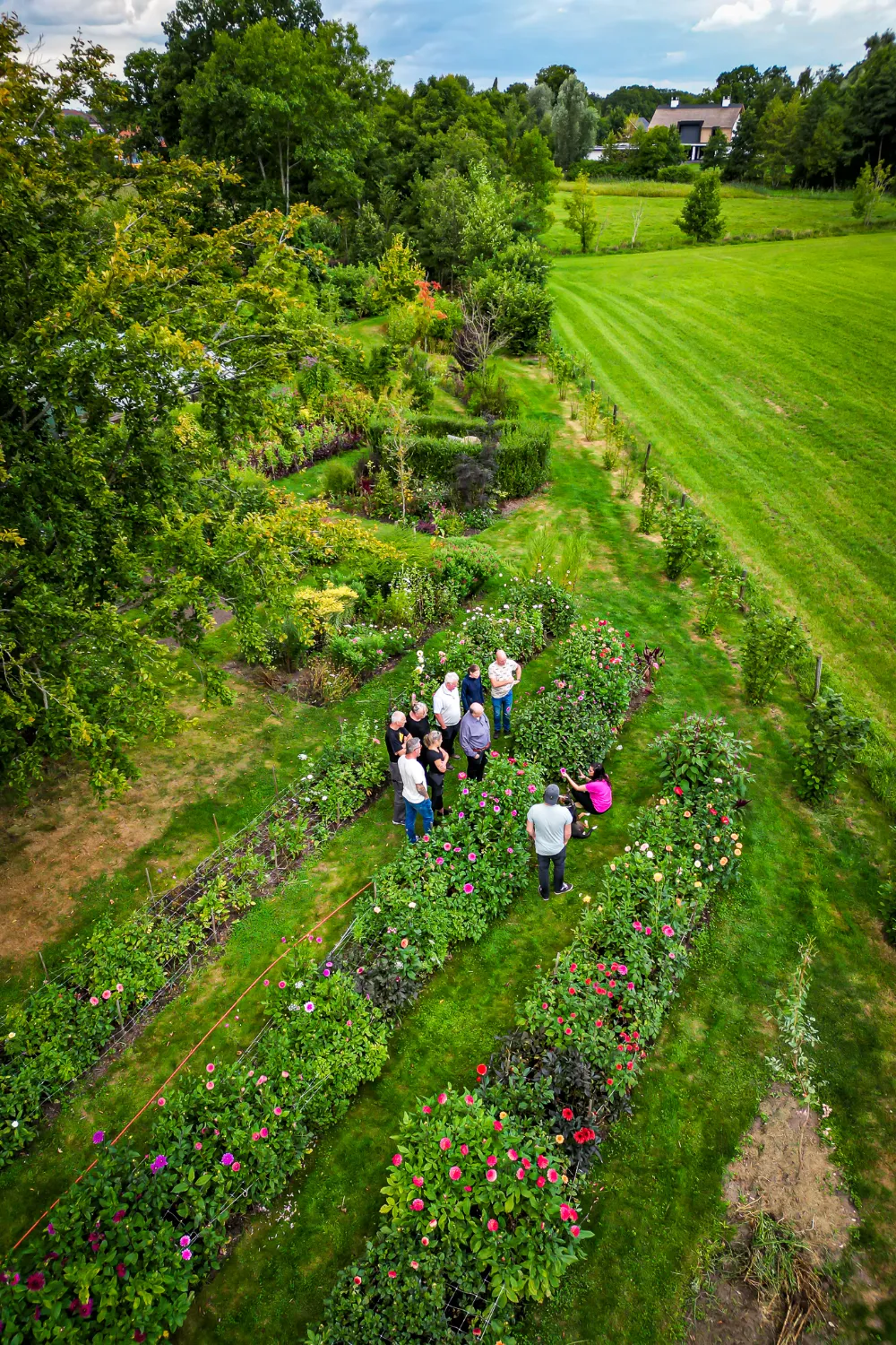 The Wild Garden 2027