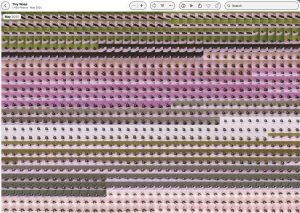 An overview of the Photos App where you can see many different stacks.